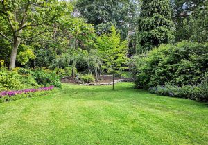 Optimiser l'expérience du jardin à Vezieres